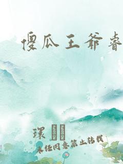 傻瓜王爷睿智妃