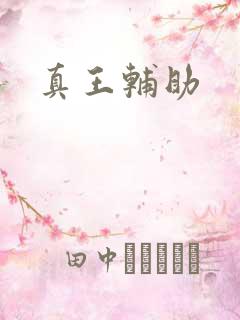 真王辅助