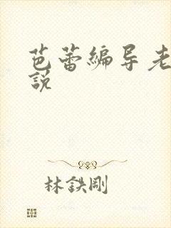 芭蕾编导老师小说