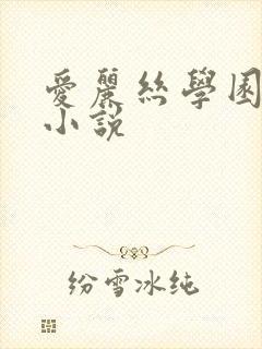 爱丽丝学园同人小说