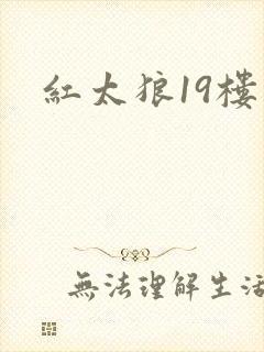 红太狼19楼