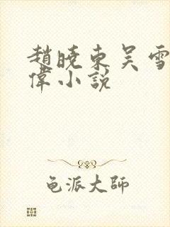 赵晓东吴雪晴郑伟小说