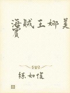 海贼王娜美h罗宾