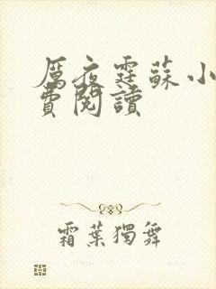 厉夜霆苏小汐免费阅读