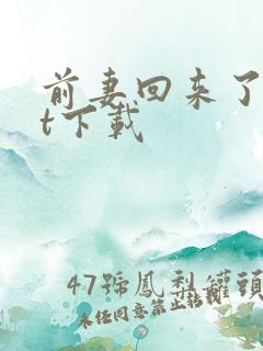 前妻回来了txt下载