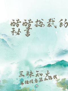 酷酷总裁的万能秘书