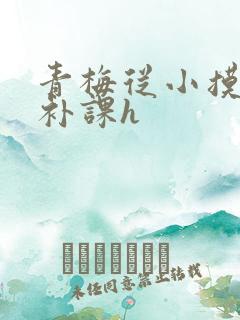 青梅从小摸到大补课h