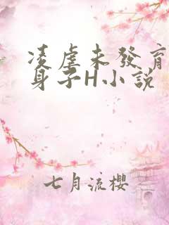 凌虐未发育的小身子H小说