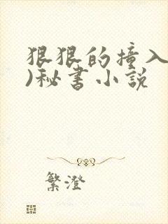 狠狠的撞入(h)秘书小说