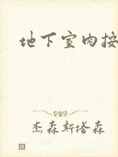 地下室肉按摩椅