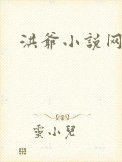 洪爷小说网