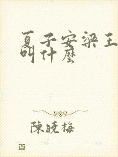 夏子安梁王书名叫什么
