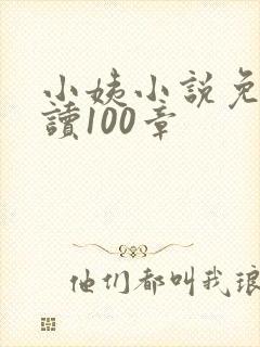 小姨小说免费阅读100章