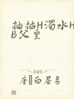 抽插H浊水H嫩B父皇