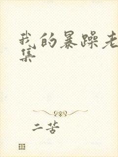 我的暴躁老妈全集