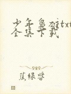 少年枭雄txt全集下载