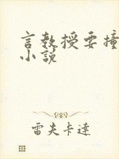 言教授要撞坏了小说