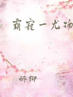 霸宠一尤物老婆