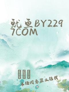 鱿鱼BY2297COM