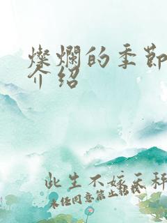 灿烂的季节剧情介绍