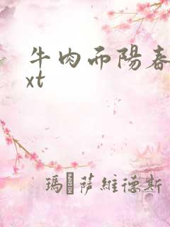 牛肉面阳春面txt