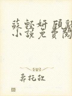 苏轻妍 顾辞笙小说免费阅读