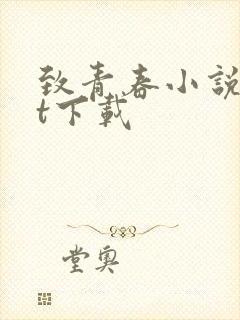 致青春小说txt下载