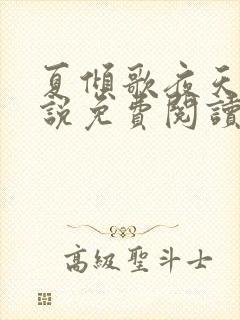 夏倾歌夜天承小说免费阅读