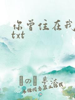 你曾住在我心上txt