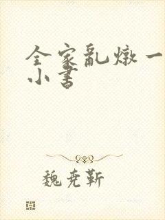 全家乱炖一锅烩小书