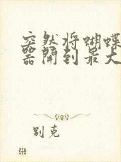 突然将蝴蝶遥控器开到最大