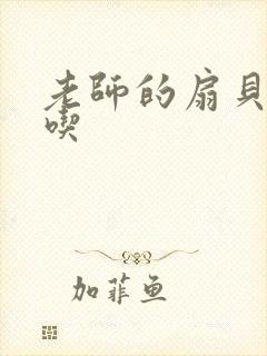 老师的扇贝真好吃