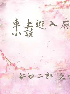 车上进入麻麻的小说