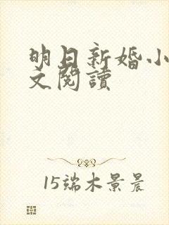 明日新婚小说全文阅读