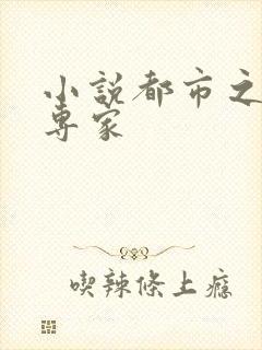 小说都市之军火专家