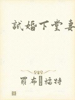 试婚下堂妻