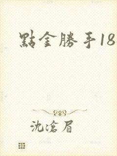 点金胜手18