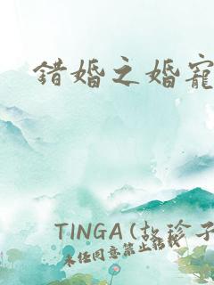 错婚之婚宠一世