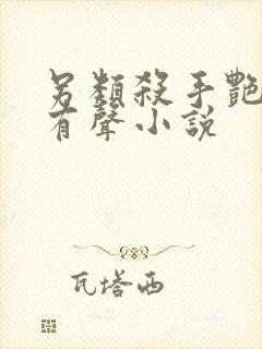 另类杀手艳福星有声小说