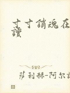 寸寸销魂在线阅读