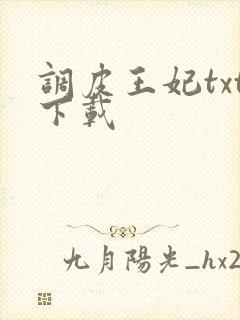 调皮王妃txt下载