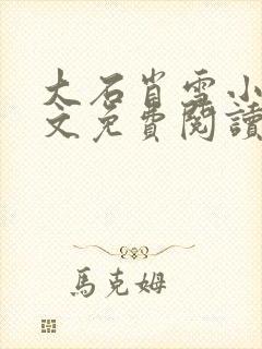 大石肖雪小说全文免费阅读