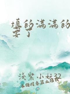 填的满满的 不要了