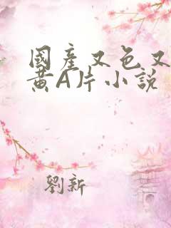 国产又色又爽又黄A片小说