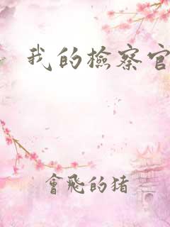 我的检察官先生