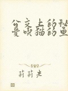 公交上的秘密 爱吃猫的鱼