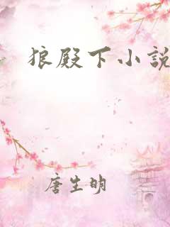 狼殿下小说