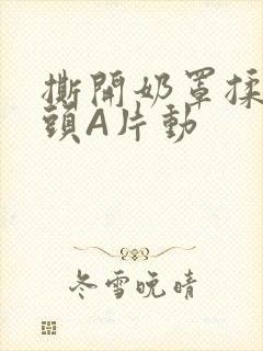 撕开奶罩揉吮奶头A片动