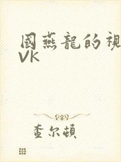 国燕龙的视频IVK