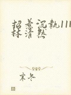 招惹沉执11H林清然